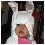 Bunnysit