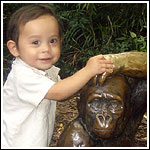 Monkeyportrait