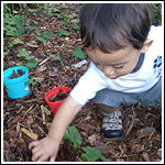 Gardenbuckets Gardenbuckets
