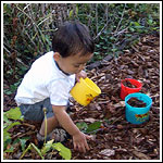 Gardenjungle Gardenjungle