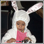 Bunny Boy