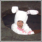 Bunnylog