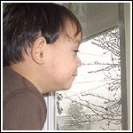 Snowwindow