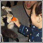 Coon